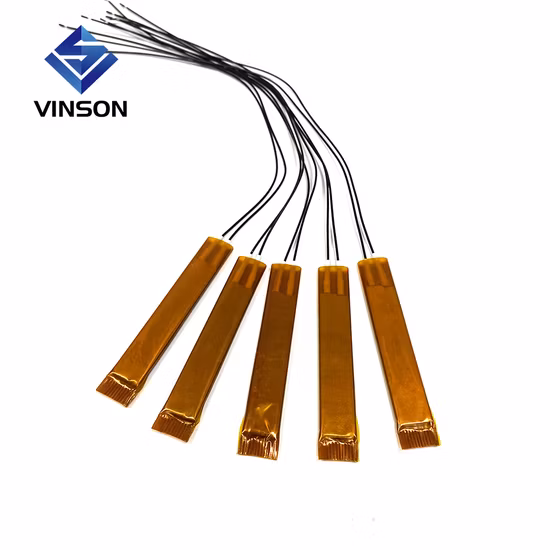 Vinson 12V 24V 48V 110V 120V 240V Food Warmer Water Heat Using Ceramic PTC Heating Element PTC Heater