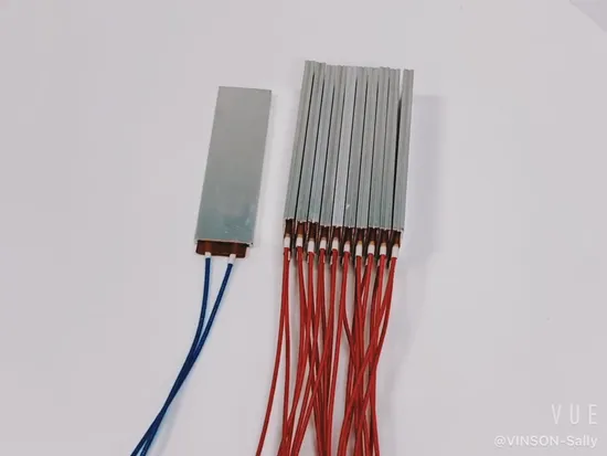 Vinson 12V 24V 48V 110V 120V 240V Food Warmer Water Heat Using Ceramic PTC Heating Element PTC Heater