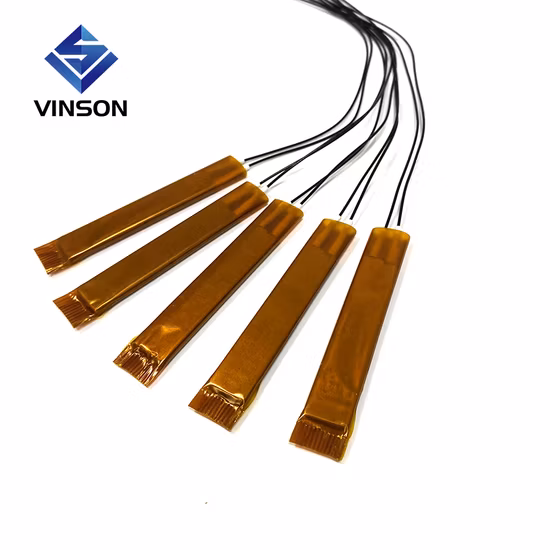 Vinson 12V 24V 48V 110V 120V 240V Food Warmer Water Heat Using Ceramic PTC Heating Element PTC Heater